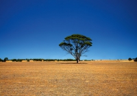 10052 on the way to Perth