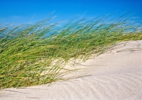 7021 Dünen Dänemark